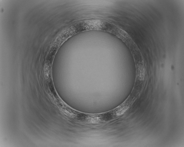 X0000057040701200509091106