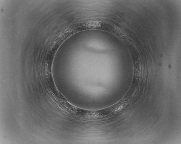 X0000057040704200509091106