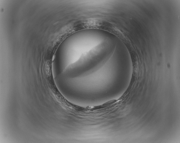 X0000057040715200509091106