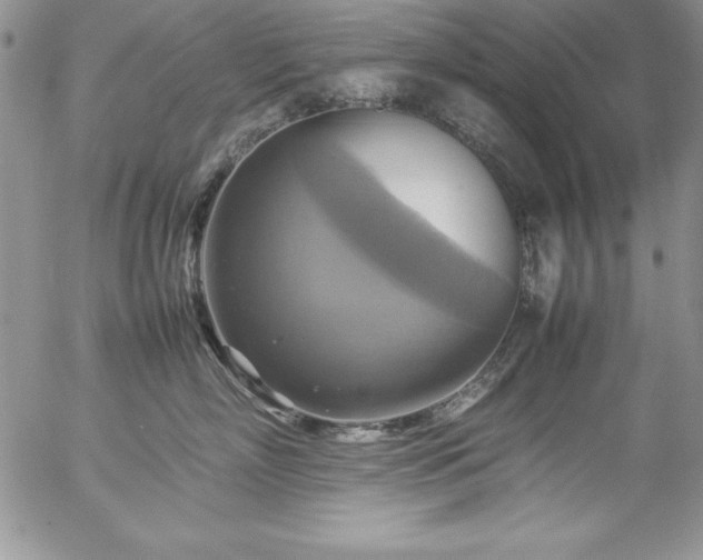 X0000057040718200509091106