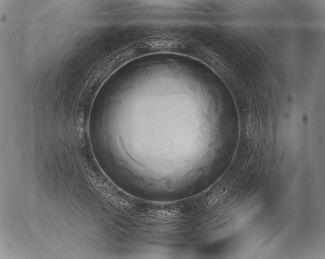 X0000057040737200509091106