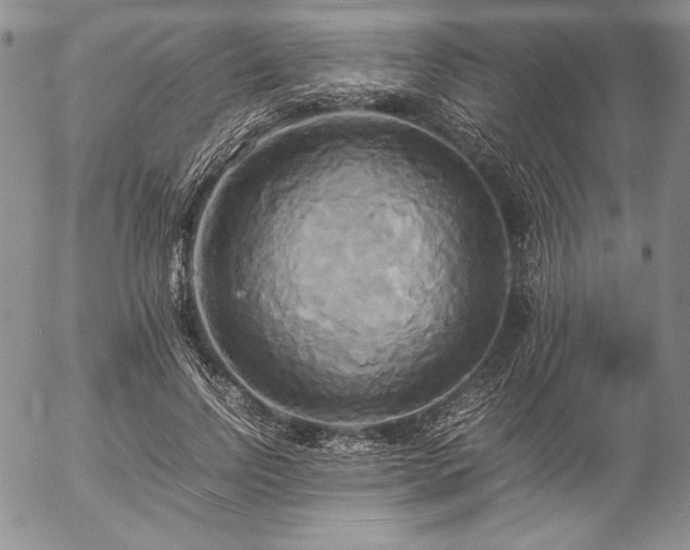 X0000057040742200509091106
