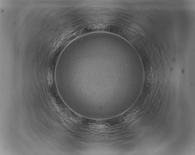 X0000057040743200509091106