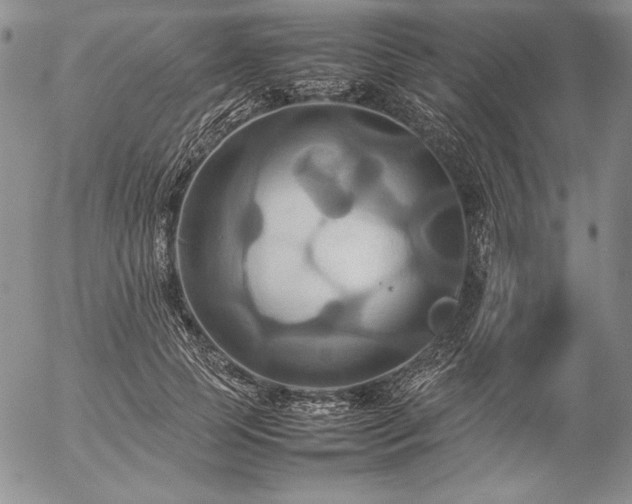 X0000057040745200509091106