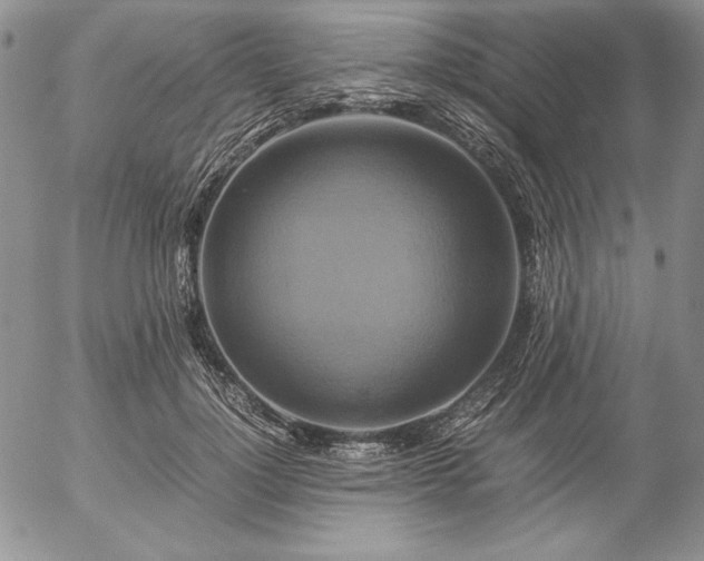X0000057040748200509091106