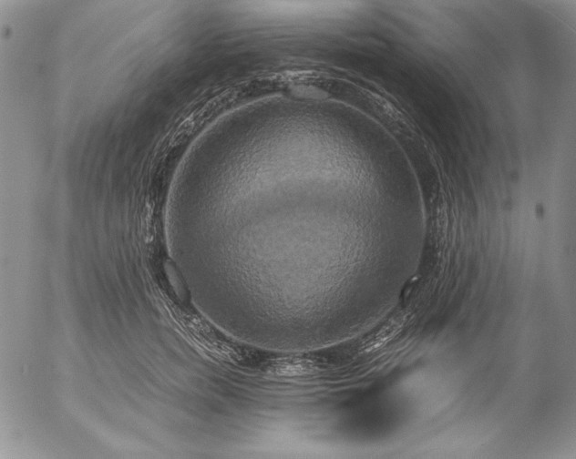 X0000057040750200509091106