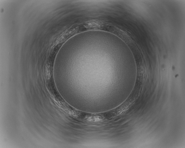 X0000057040751200509091106