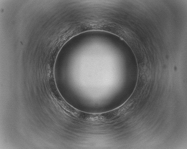 X0000057040752200509091106