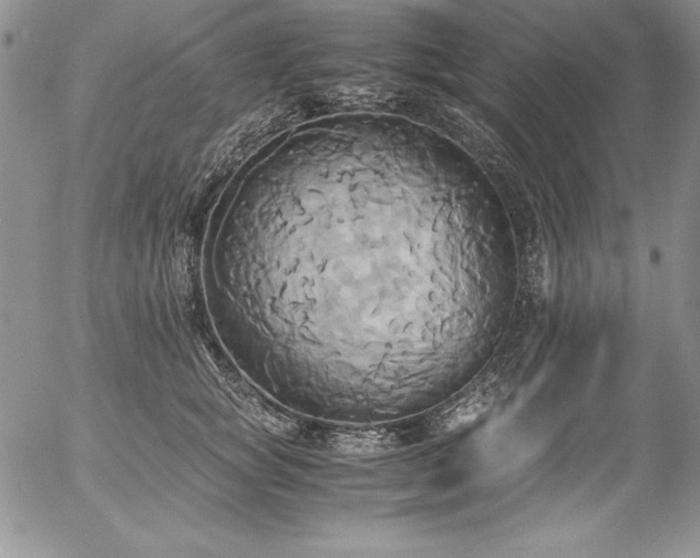 X0000057040757200509091106