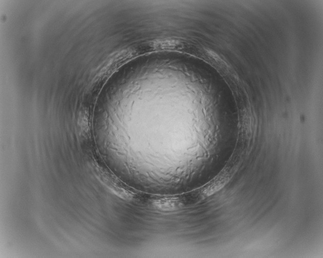 X0000057040761200509091106