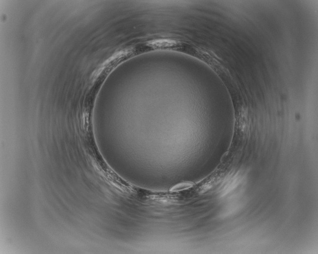 X0000057040763200509091106