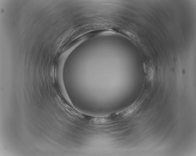 X0000057040766200509091106