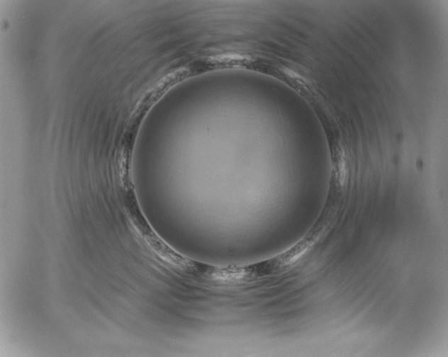 X0000057040767200509091106