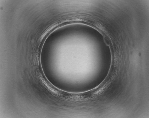X0000057040789200509091105