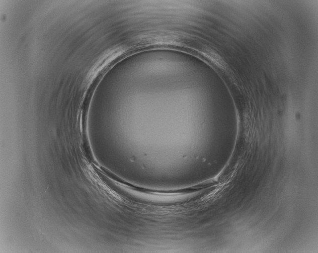 X0000057040790200509091105