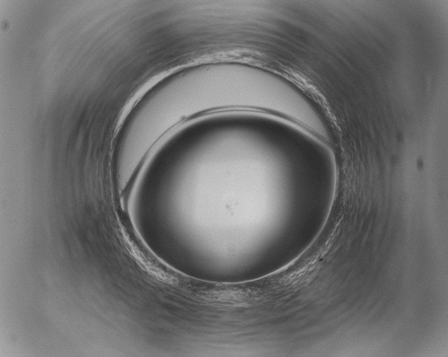 X0000057040792200509091105