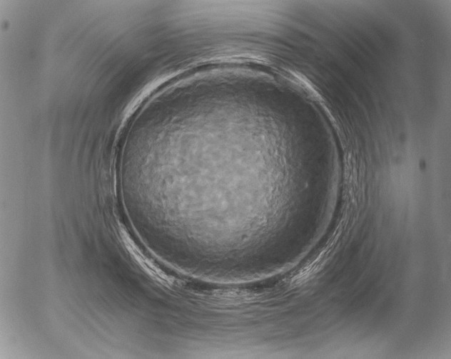 X0000057040795200509091105