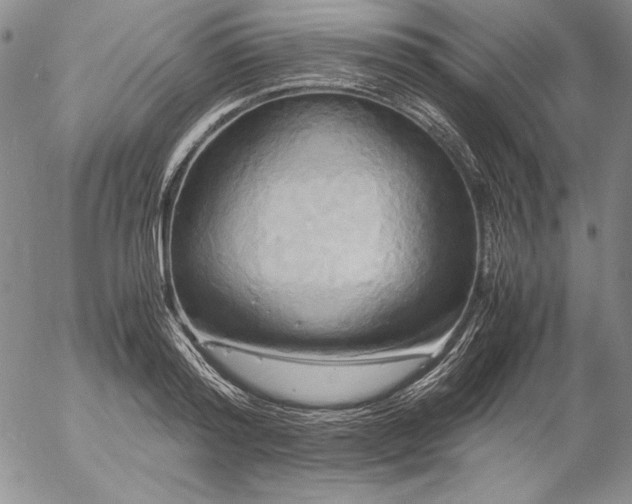 X0000057040796200509091105