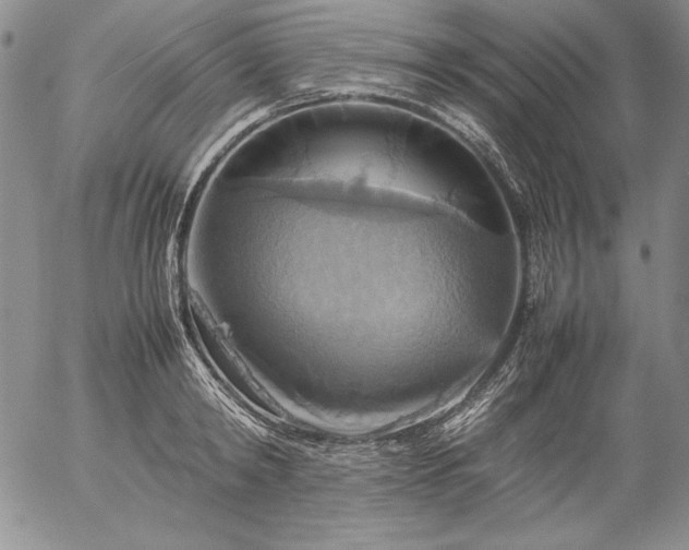 X0000057040798200509091105