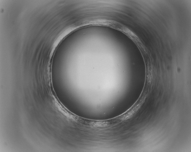 X0000057040808200509091105