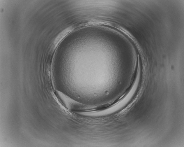 X0000057040809200509091105