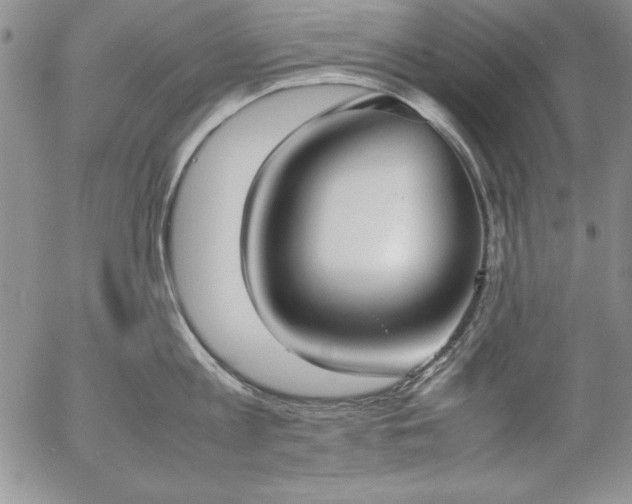 X0000057040813200509091105