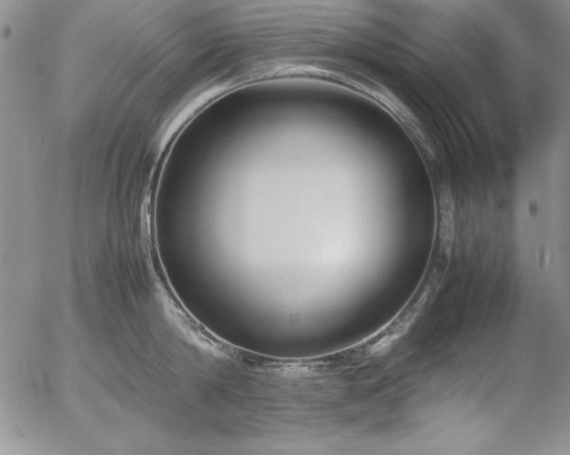 X0000057040814200509091105