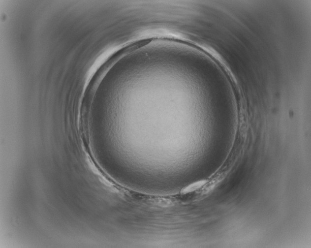 X0000057040815200509091105