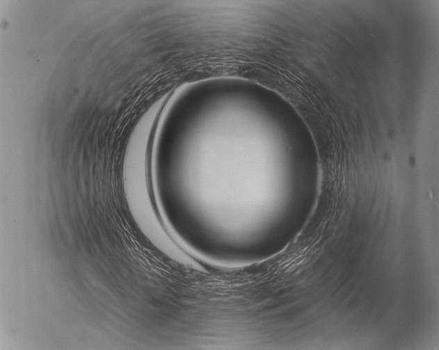 X0000057040818200509091104