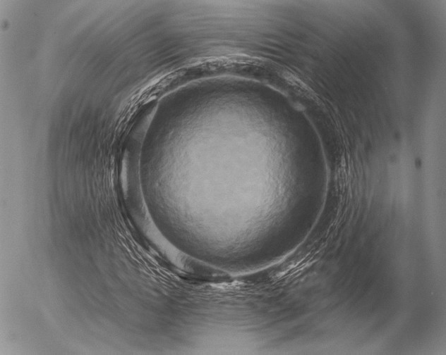 X0000057040822200509091104
