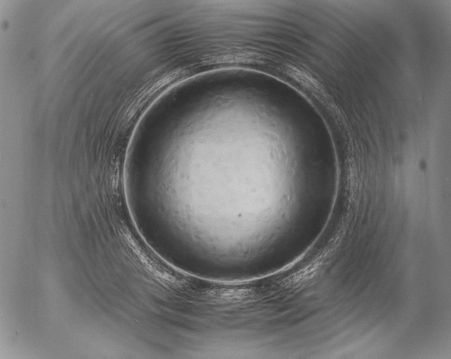 X0000057040841200509091104