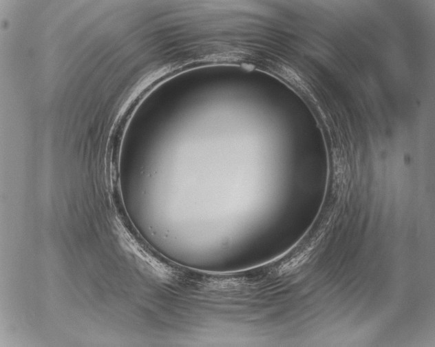 X0000057040843200509091104