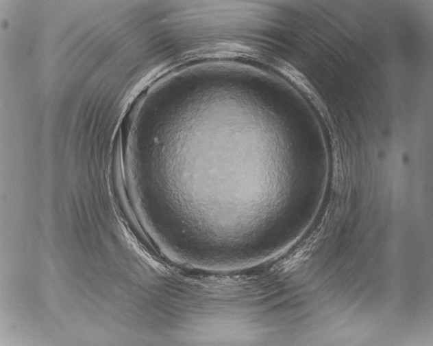 X0000057040850200509091104