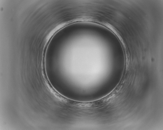 X0000057040861200509091105