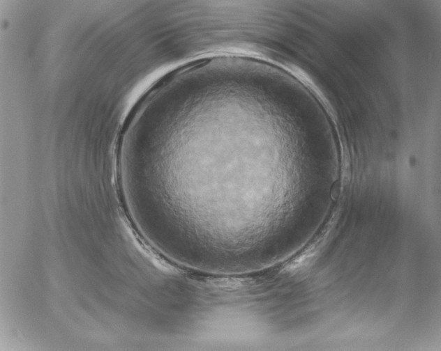 X0000057040862200509091105