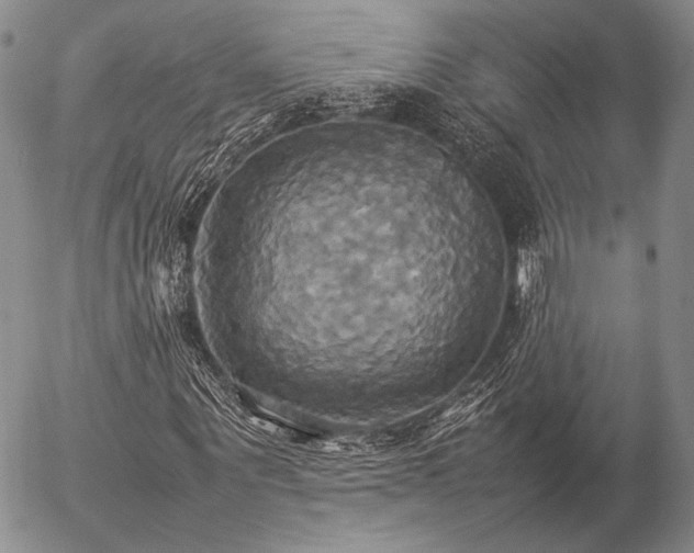 X0000057040867200509091104