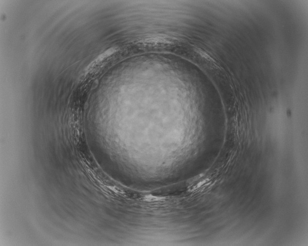 X0000057040870200509091104
