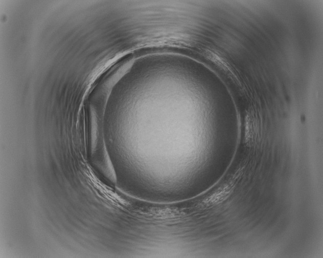 X0000057040876200509091104