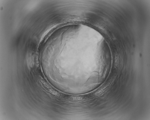 X0000057040878200509091104