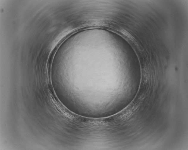 X0000057040886200509091103