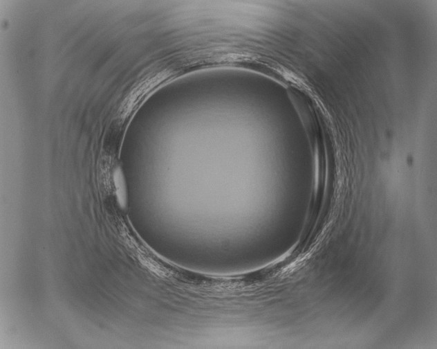X0000057040889200509091103