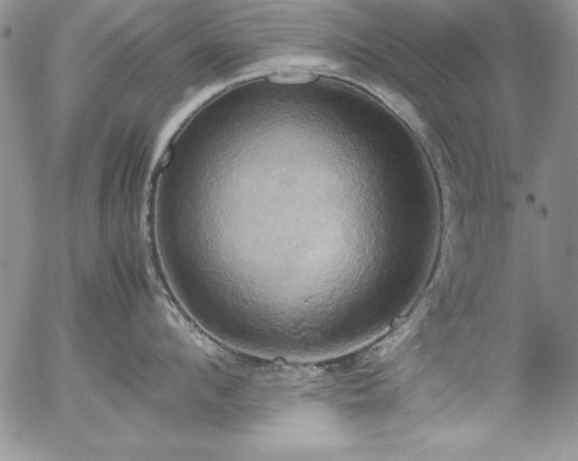 X0000057040912200509091103