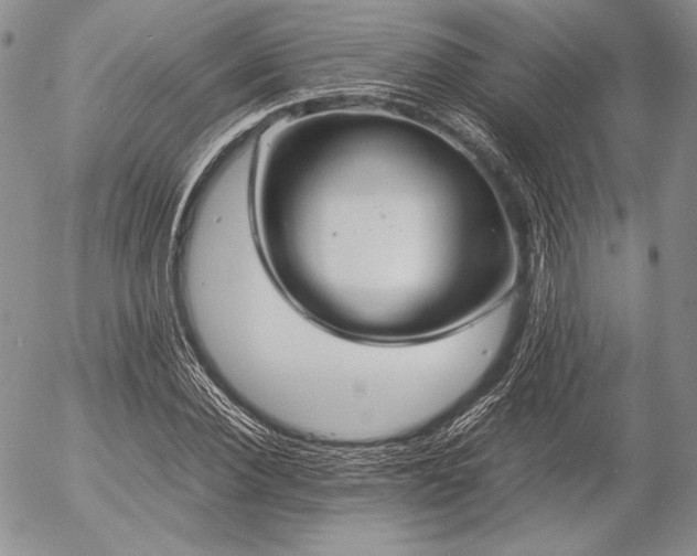 X0000057040924200509091102