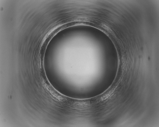 X0000057040931200509091103