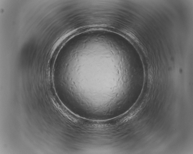 X0000057040933200509091103