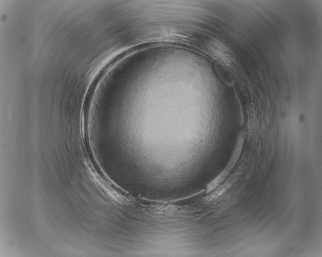 X0000057040940200509091103