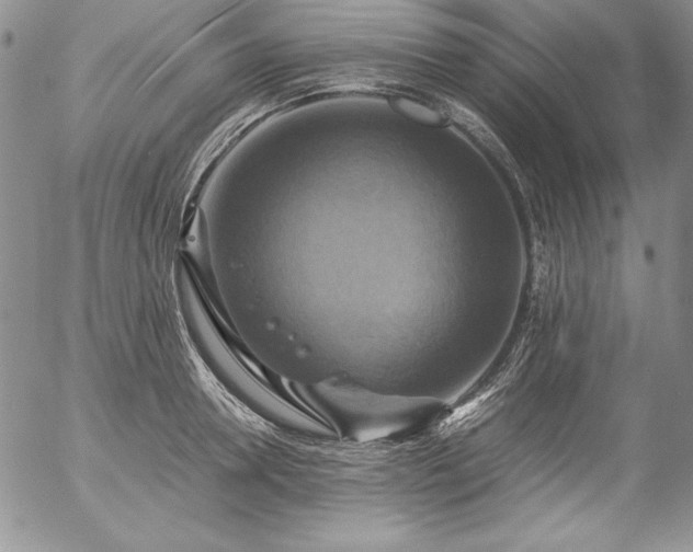 X0000057040946200509091103