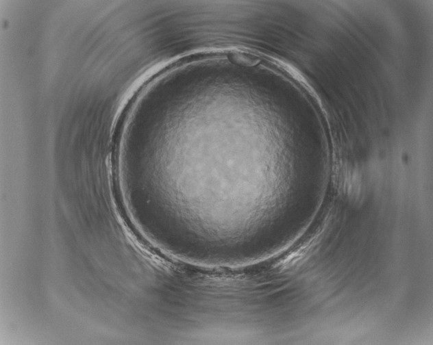 X0000057040951200509091103