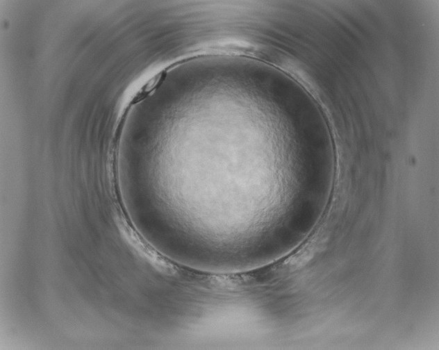 X0000057040960200509091103