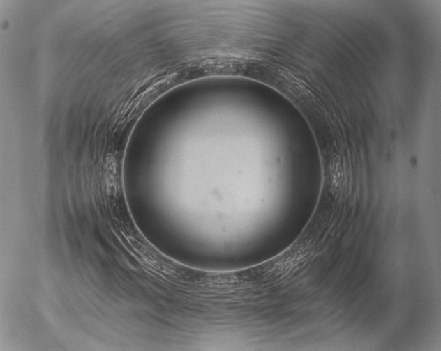 X0000057040964200509091102
